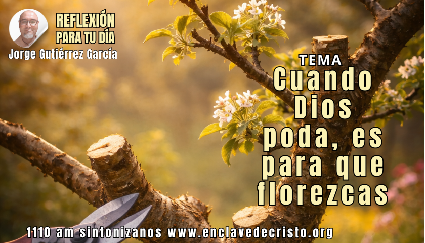 Reflexión Jorge Gutiérrez García / Tema: Cuando Dios poda, es para que florezcas
