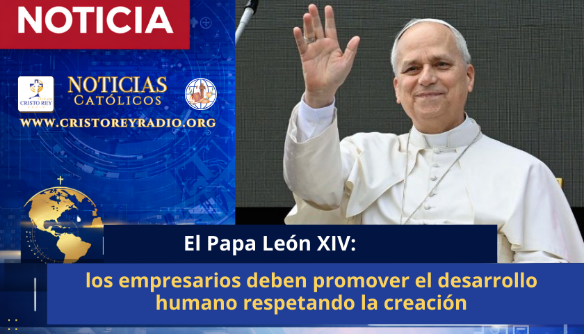 León XIV: los empresarios deben promover el desarrollo humano respetando la creación