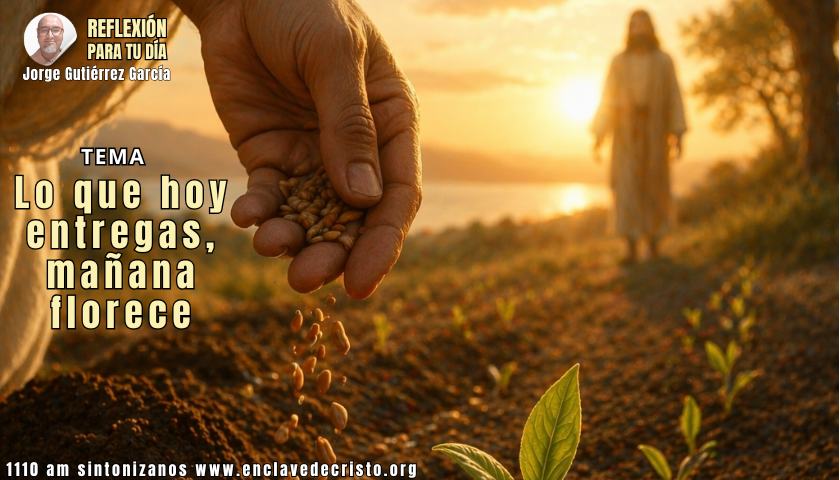 Reflexión Jorge Gutiérrez García / Tema: Lo que hoy entregas, mañana florece