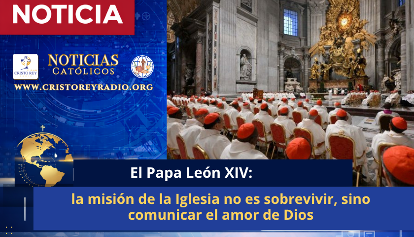 El Papa: la misión de la Iglesia no es sobrevivir, sino comunicar el amor de Dios