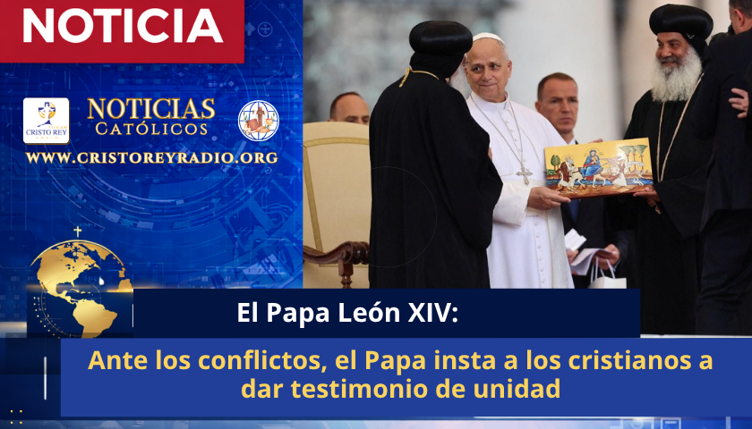 Ante los conflictos, el Papa insta a los cristianos a dar testimonio de unidad