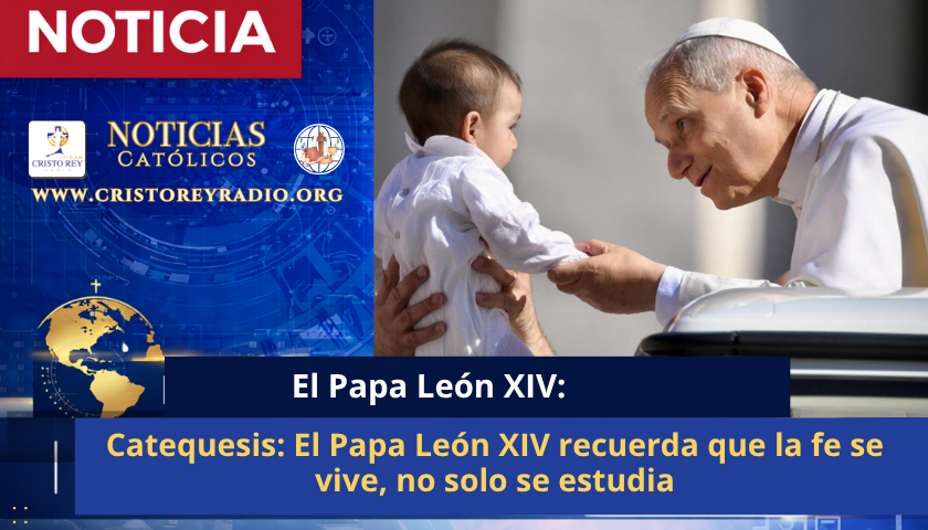 Catequesis: El Papa León XIV recuerda que la fe se vive, no solo se estudia