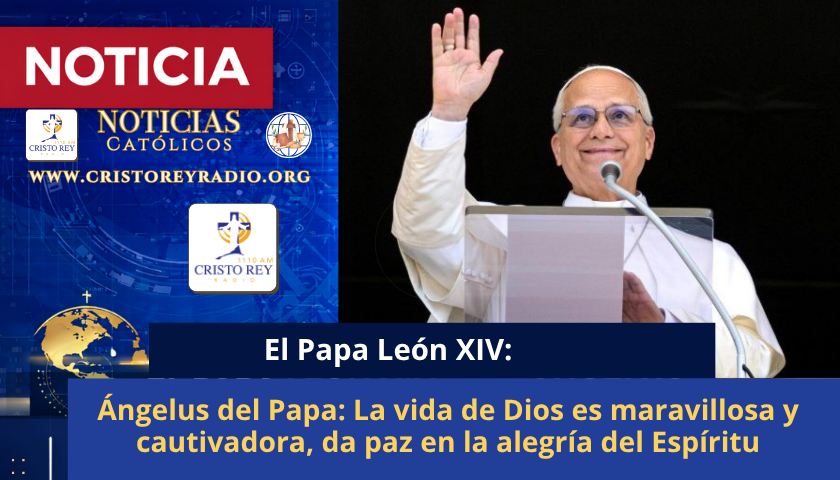 Ángelus del Papa: La vida de Dios es maravillosa y cautivadora, da paz en la alegría del Espíritu