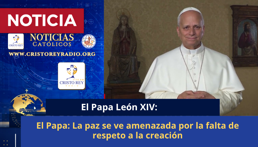 El Papa: La paz se ve amenazada por la falta de respeto a la creación
