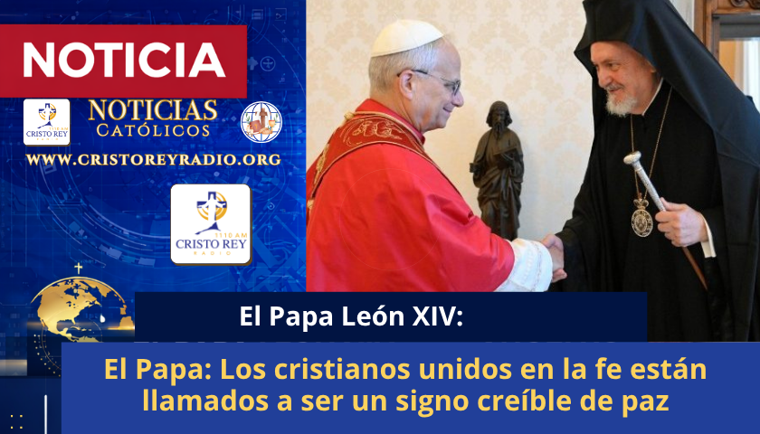El Papa: Los cristianos unidos en la fe están llamados a ser un signo creíble de paz