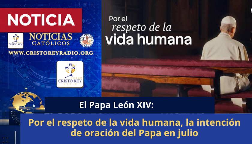 Por el respeto de la vida humana, la intención de oración del Papa en julio