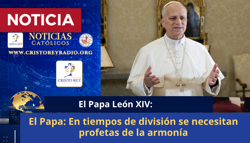 El Papa: En tiempos de división se necesitan profetas de la armonía